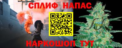 spice Моздок