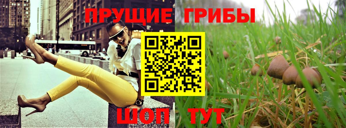 Шарыпово  Псилоцибиновые грибы Psilocybe  Вход с VPN  где найти   Псилоцибиновые грибы ЛСД 
